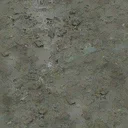 was_scrpyd_ground_muddier