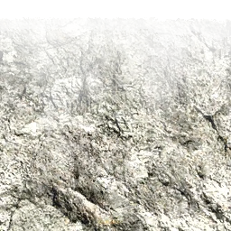 cs_rockdetail