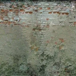 ws_rottenwall
