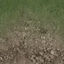 desertgravelgrass256