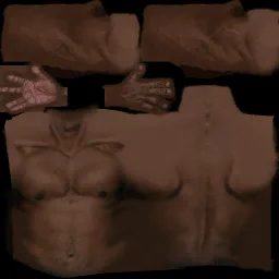 torso
