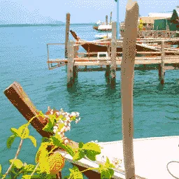 gb_canvas17
