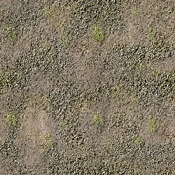 ws_patchygravel
