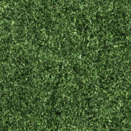 sw_copgrass01