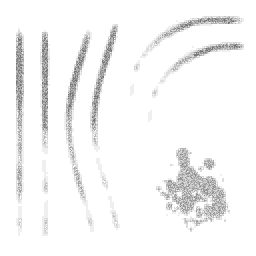 sw_skids_a