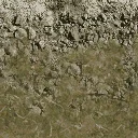 forest_rocks