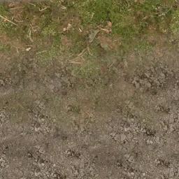 forestfloor256_blenddirt
