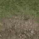 grass10dirt