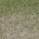 grass4_des_dirt2