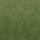 grasstype4_10