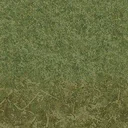 grasstype4_forestblend
