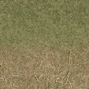 grasstype4_staw