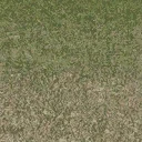 grasstype5_4