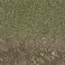 grasstype3dirt