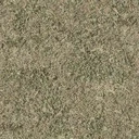 grasstype5