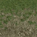 grass10_stones256