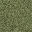 grasstype510