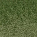 grasstype510_10