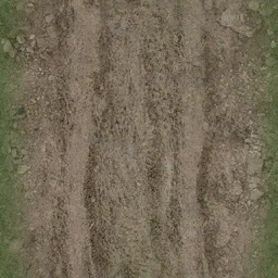 dirttracksgrass256