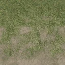 grass4dirtytrans
