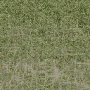 des_dirtgrassmix_grass4