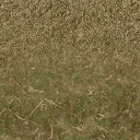 forestfloorblendded