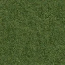 grasstype10