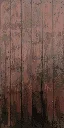 was_scrpyd_fence_wd_stain