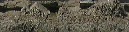 ws_flooredge