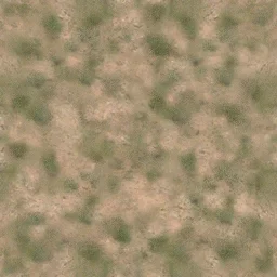 des_scrub1