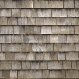 des_shingles