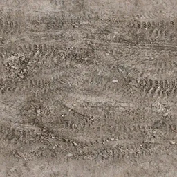 des_dirt2track
