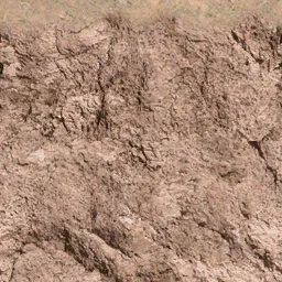des_rocky1