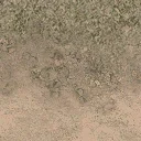 grasstype5_desdirt