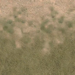 des_grass2dirt1
