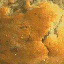 mufftop_rb