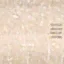 nt_phone1