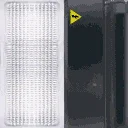 ws_fluorescent1