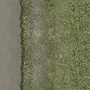 dt_road2grasstype4