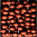 applesred1