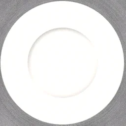 cj_plate2