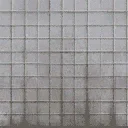 cop_cellwall_btm