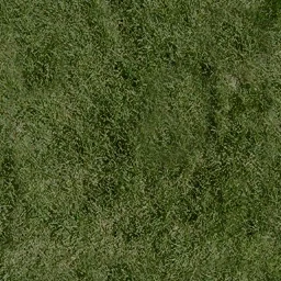 grassdeep1