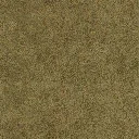 sl_sfngrass01