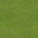 golf_fairway1