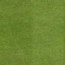 golf_greengrass