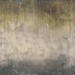 lasjmscruffwall5