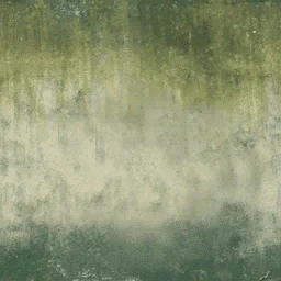 sanpedwall4