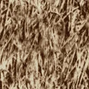 sm_josh_bark