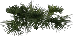 kbtree4_test